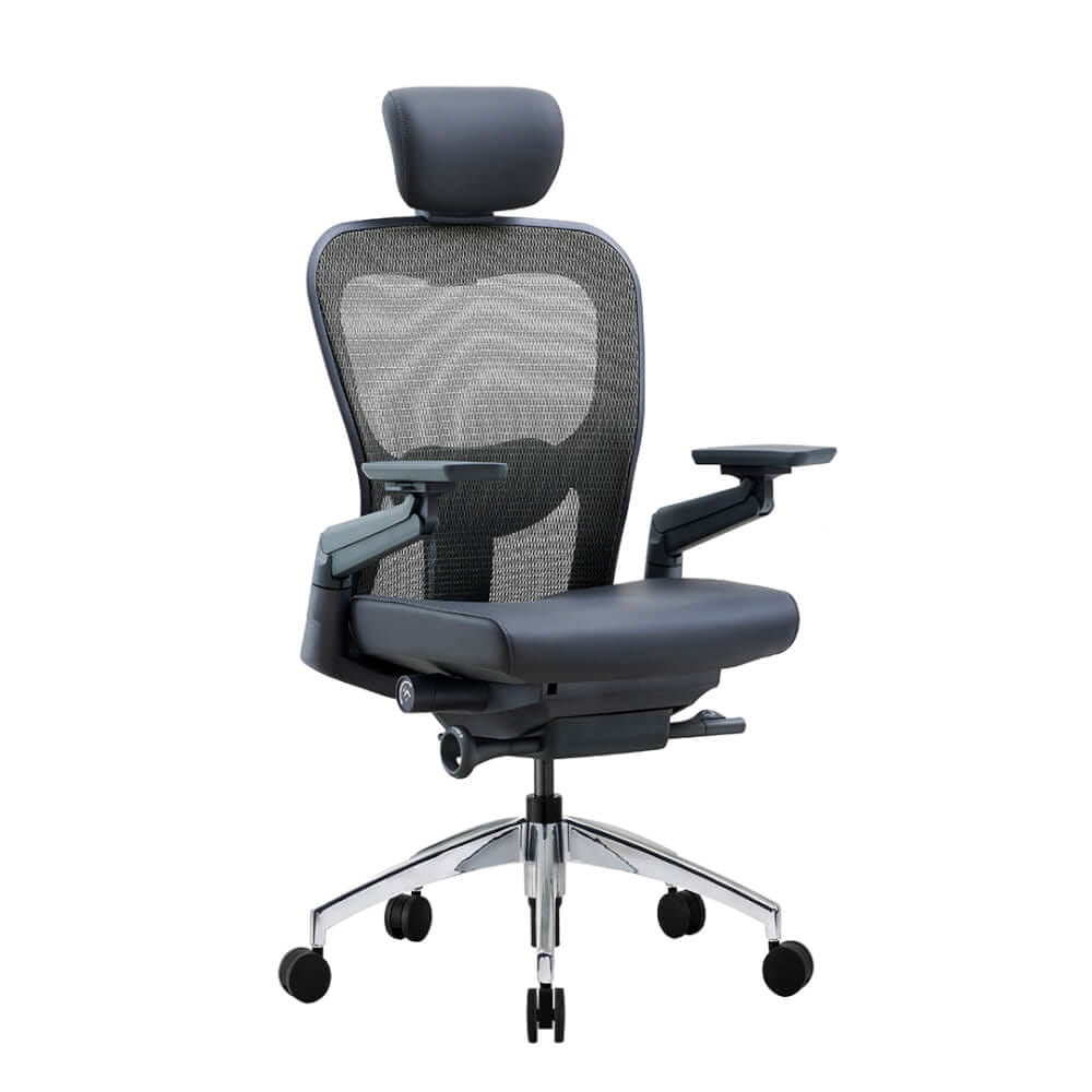 เก้าอี้เพื่อสุขภาพ DF PROCHAIR รุ่น Wonder-H สีดำ